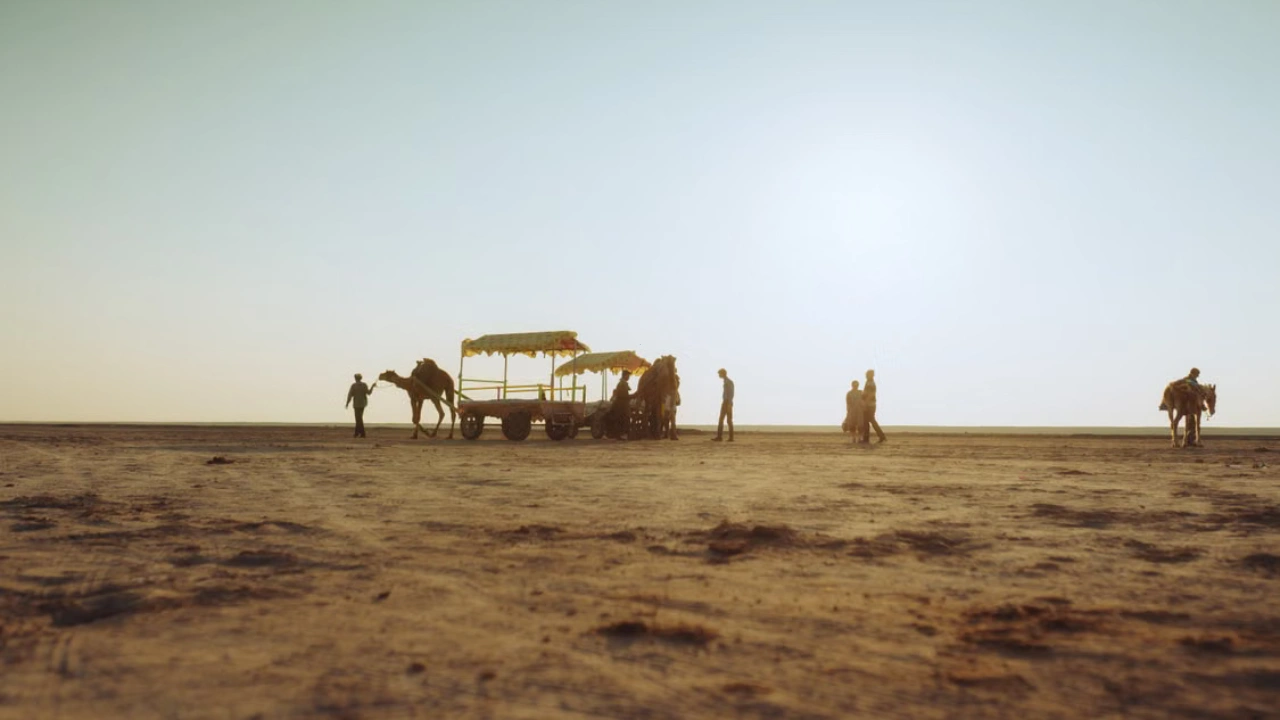Little Rann of Kutch Travel Guide: Chasing the White Horizon of Gujarat