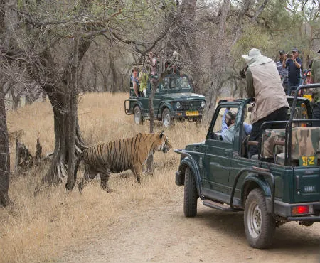 Jim Corbett Tour Package