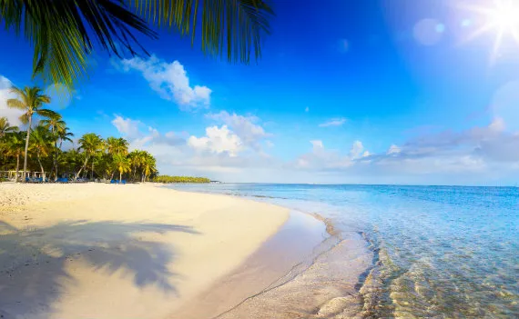 Goa