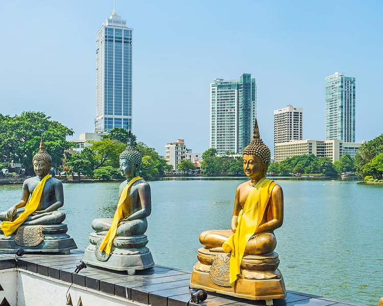 08 DAYS SRI LANKA TOUR