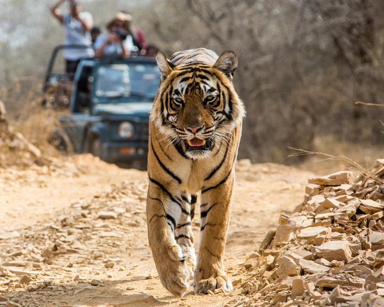 India tour packages