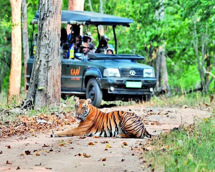 NAGARHOLE WILDLIFE TOUR