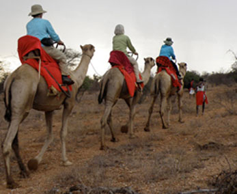 DESERT TOUR RAJASTHAN