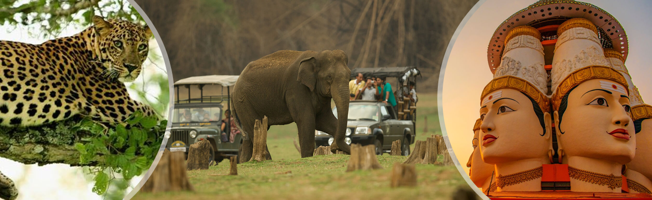 Bandipur National Park Wildlife Tour