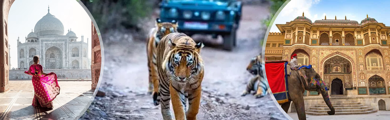 Golden Triangle Tour With Ranthambore
