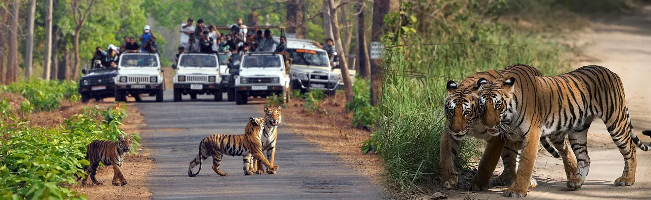 Jim Corbett Tour Package