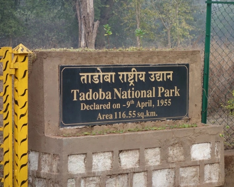 TADOBA TOUR WITH NAGZIRA NATIONAL PARK