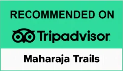 Recommended on Tripadvisor