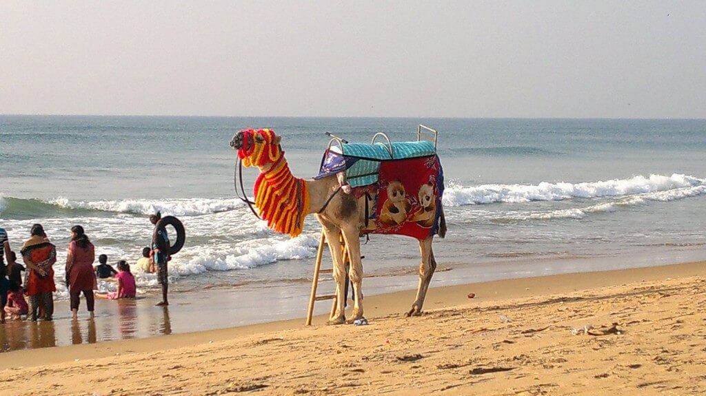 Puri Beach, Odisha