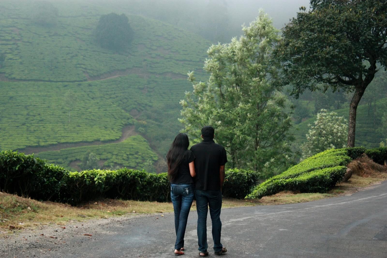 Munnar Honeymoon Tour