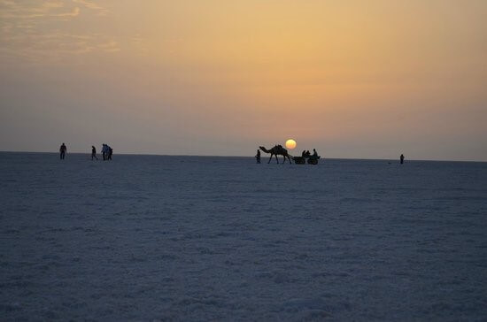 the-runn-of-kutch-white-salt-desert