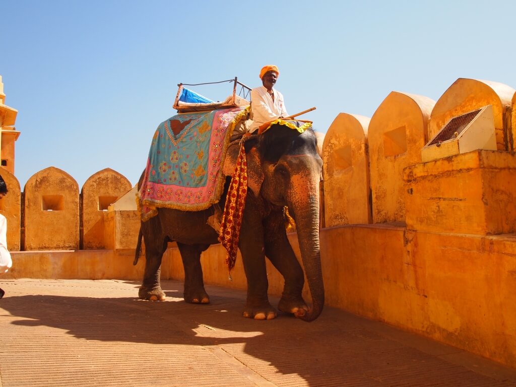 Elephant safari at Amber fort, Jaipur